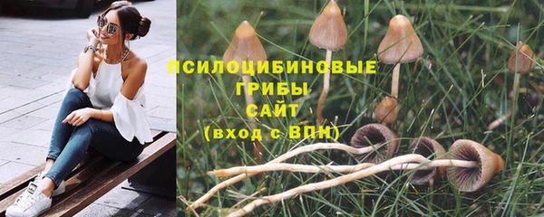 гидропоника Нея